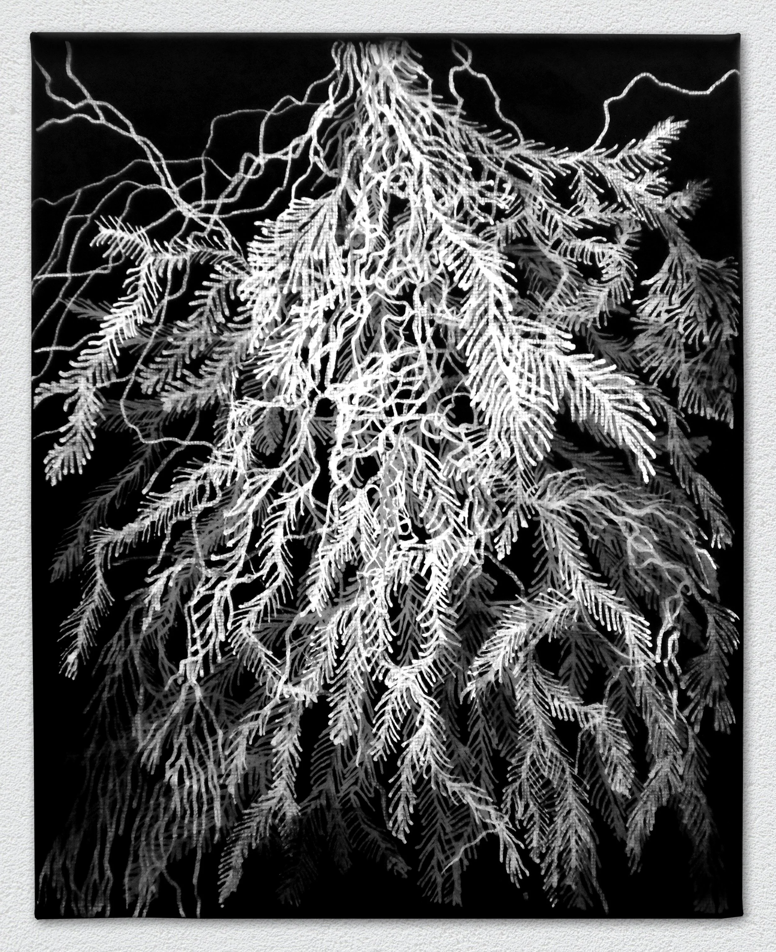 Graeme Walker - Mycelial Threads Study