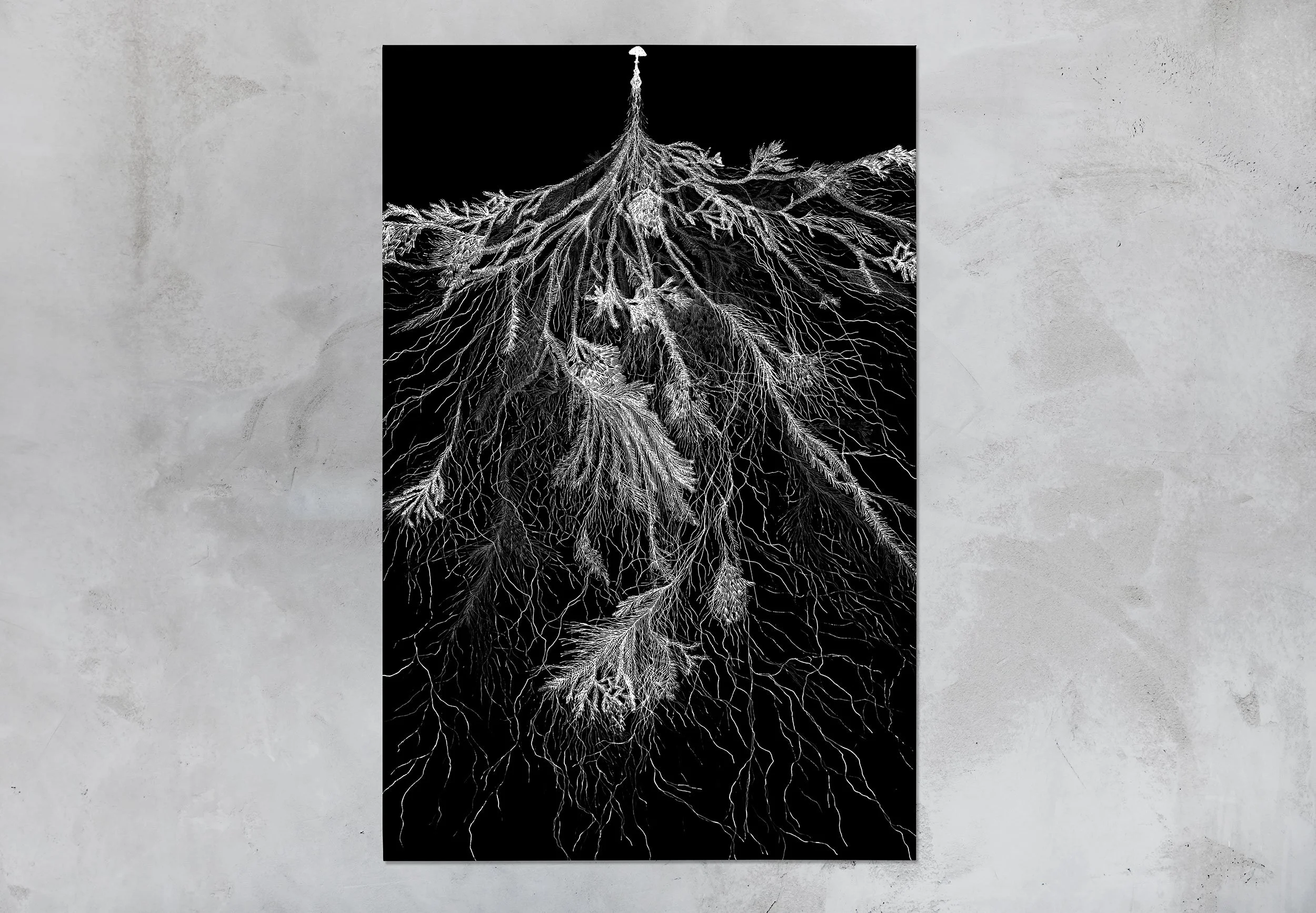 Graeme Walker - Mycelial Threads (Outside Gallery)