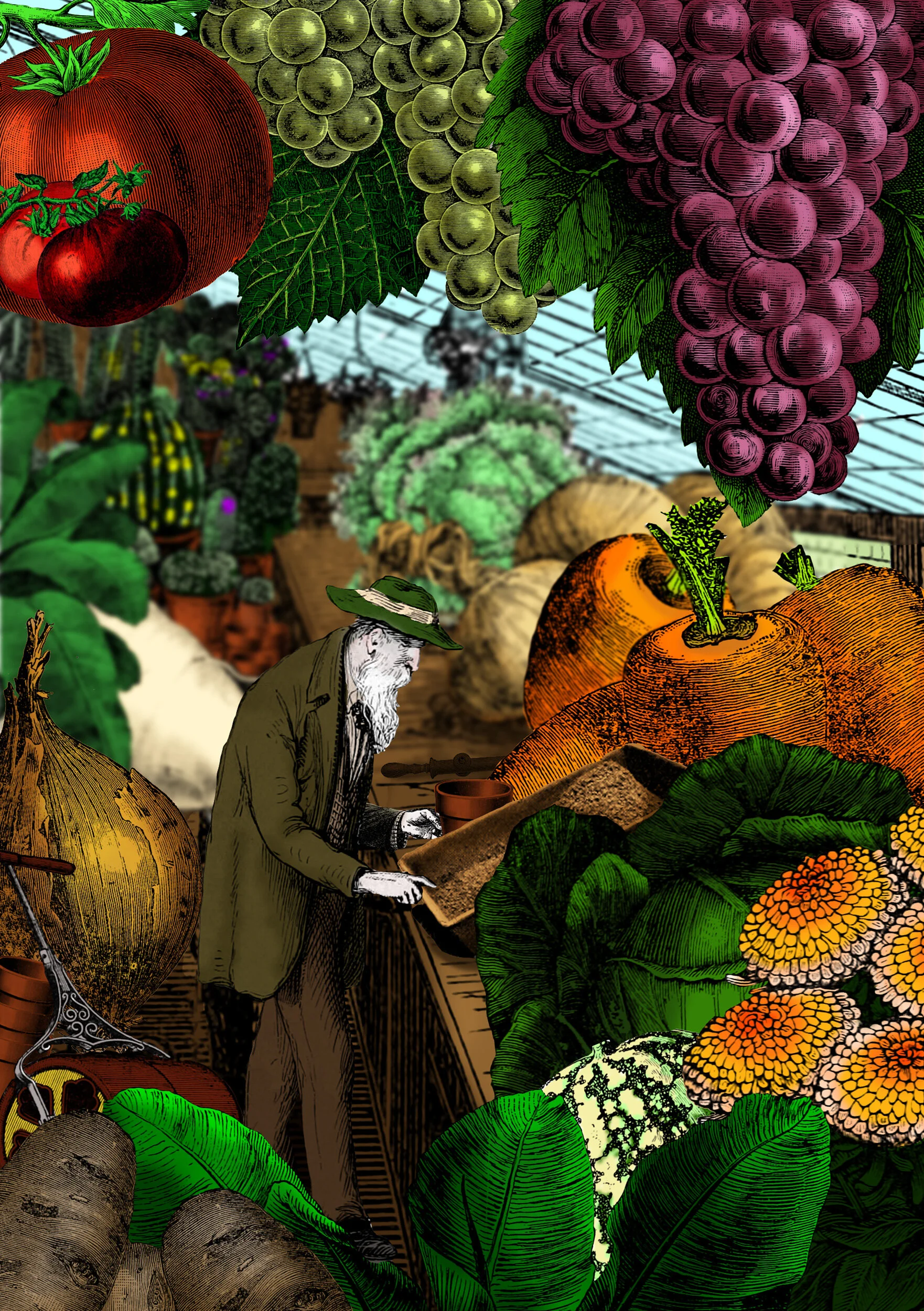 Nursery_Colour_Flat.jpg
