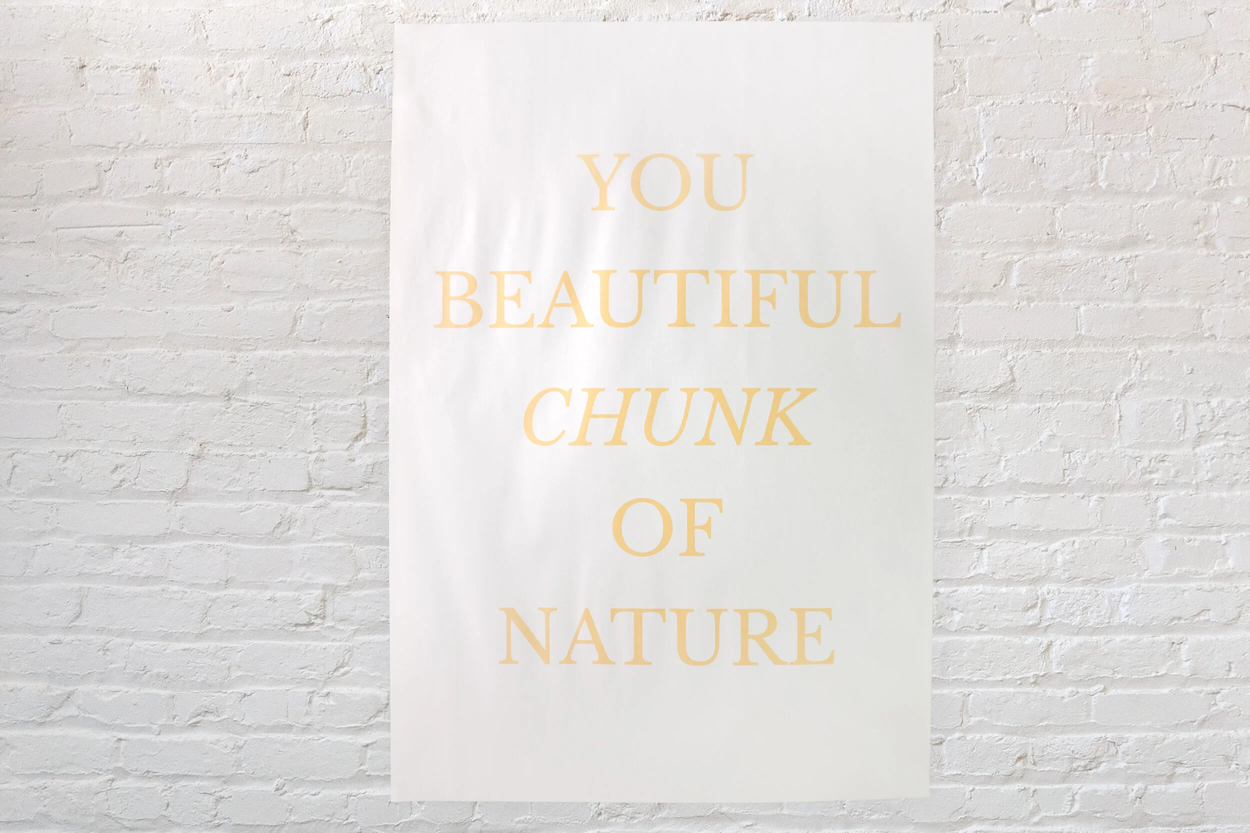 You Beautiful Chunk of Nature