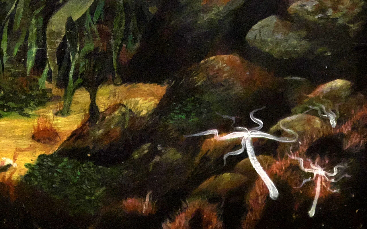 The Mortal Hydra. Detail.