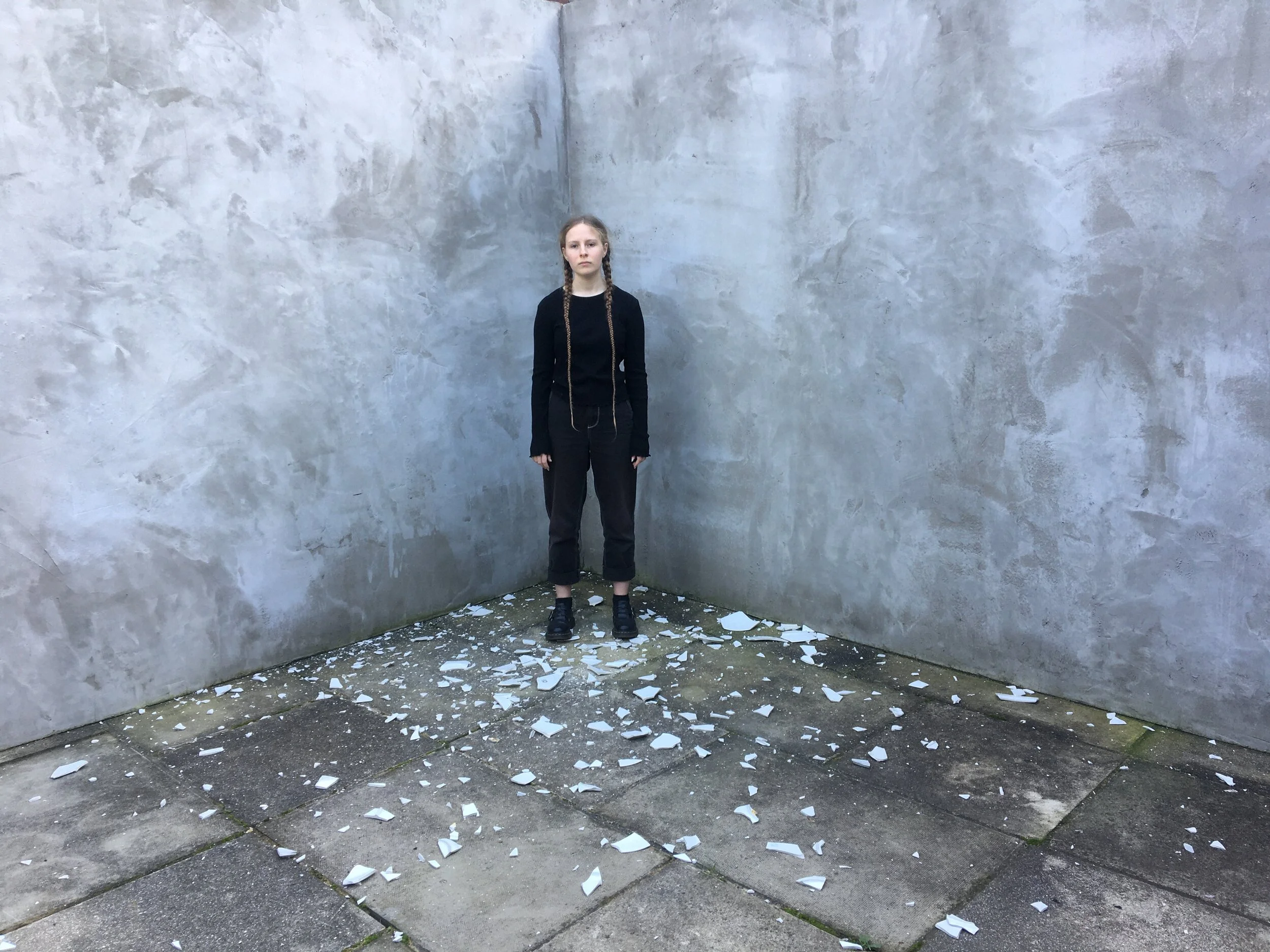 Monkey Breaks Nine Plates