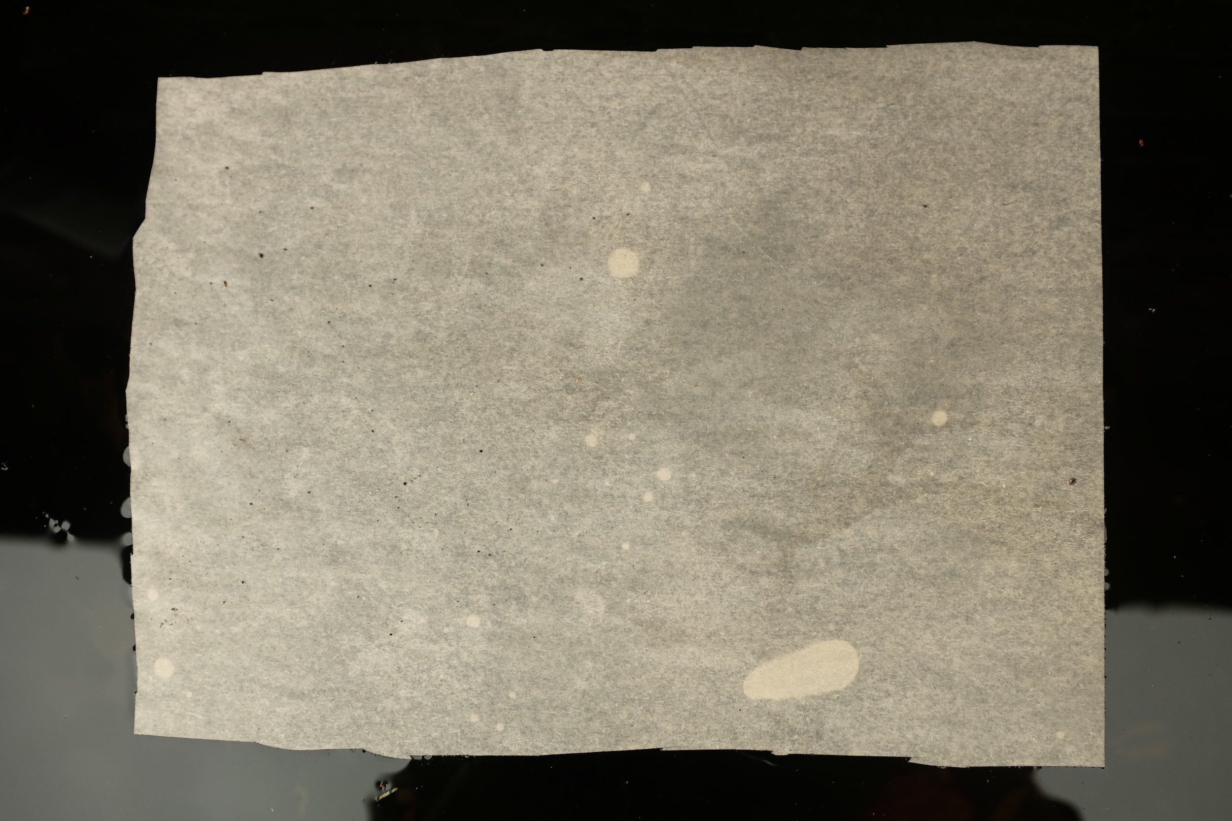 Wet Paper 14 - Graeme Walker 2022.JPG