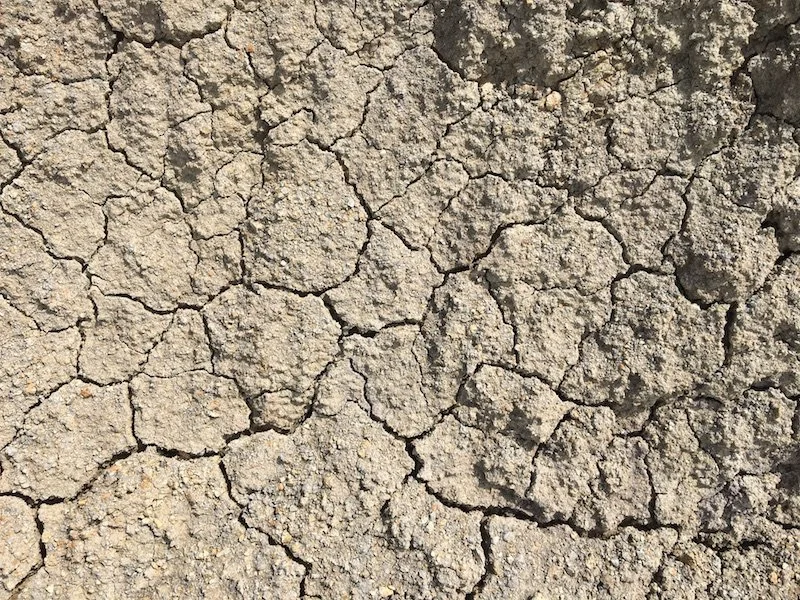 06 Cracked Earth - Graeme Walker.JPG