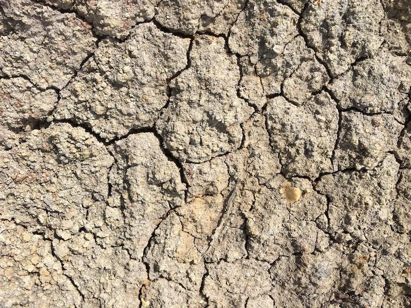 07 Cracked Earth - Graeme Walker.JPG