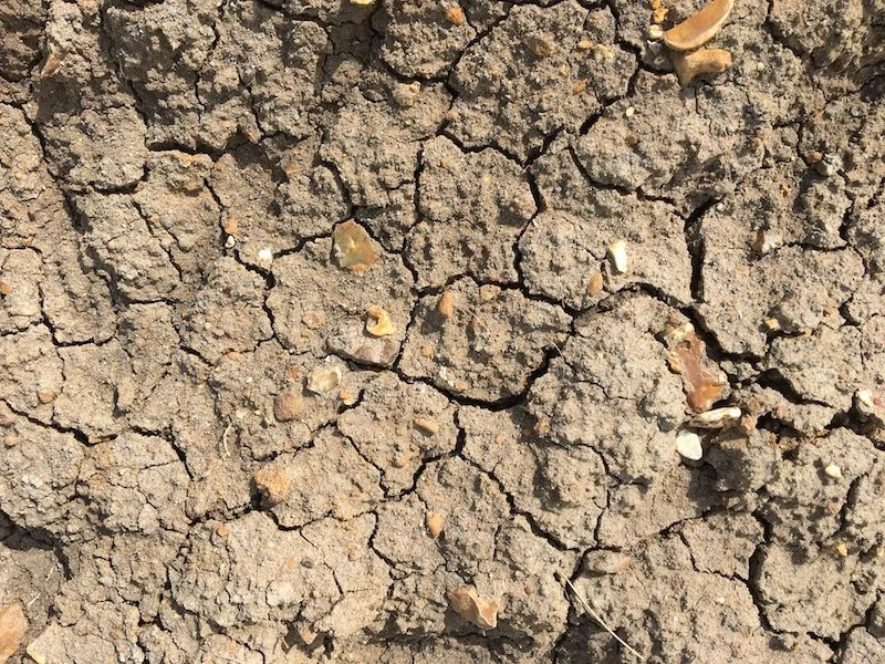 08 Cracked Earth - Graeme Walker.JPG