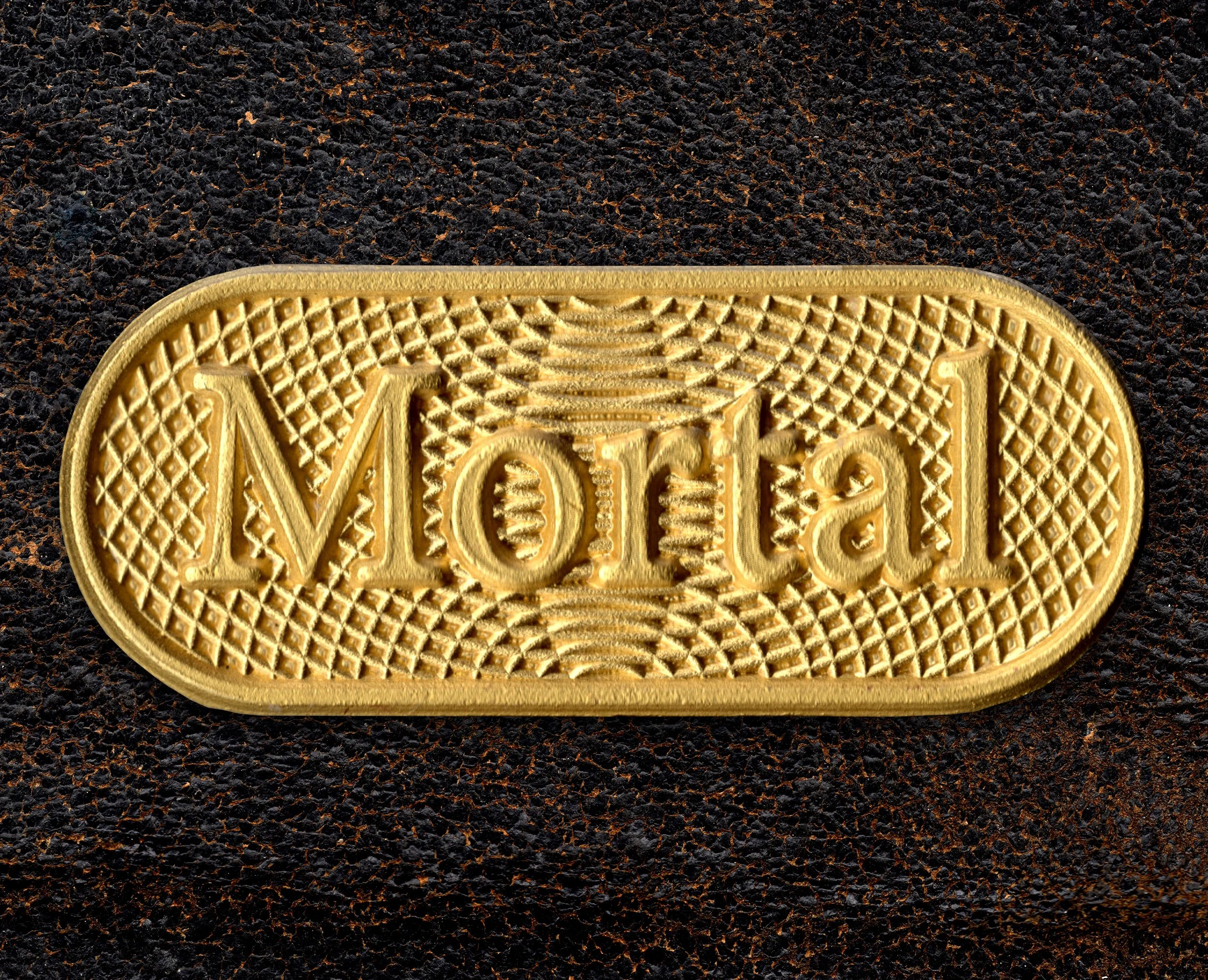 Graeme Walker. Mortal. Metal Brooch. 2023