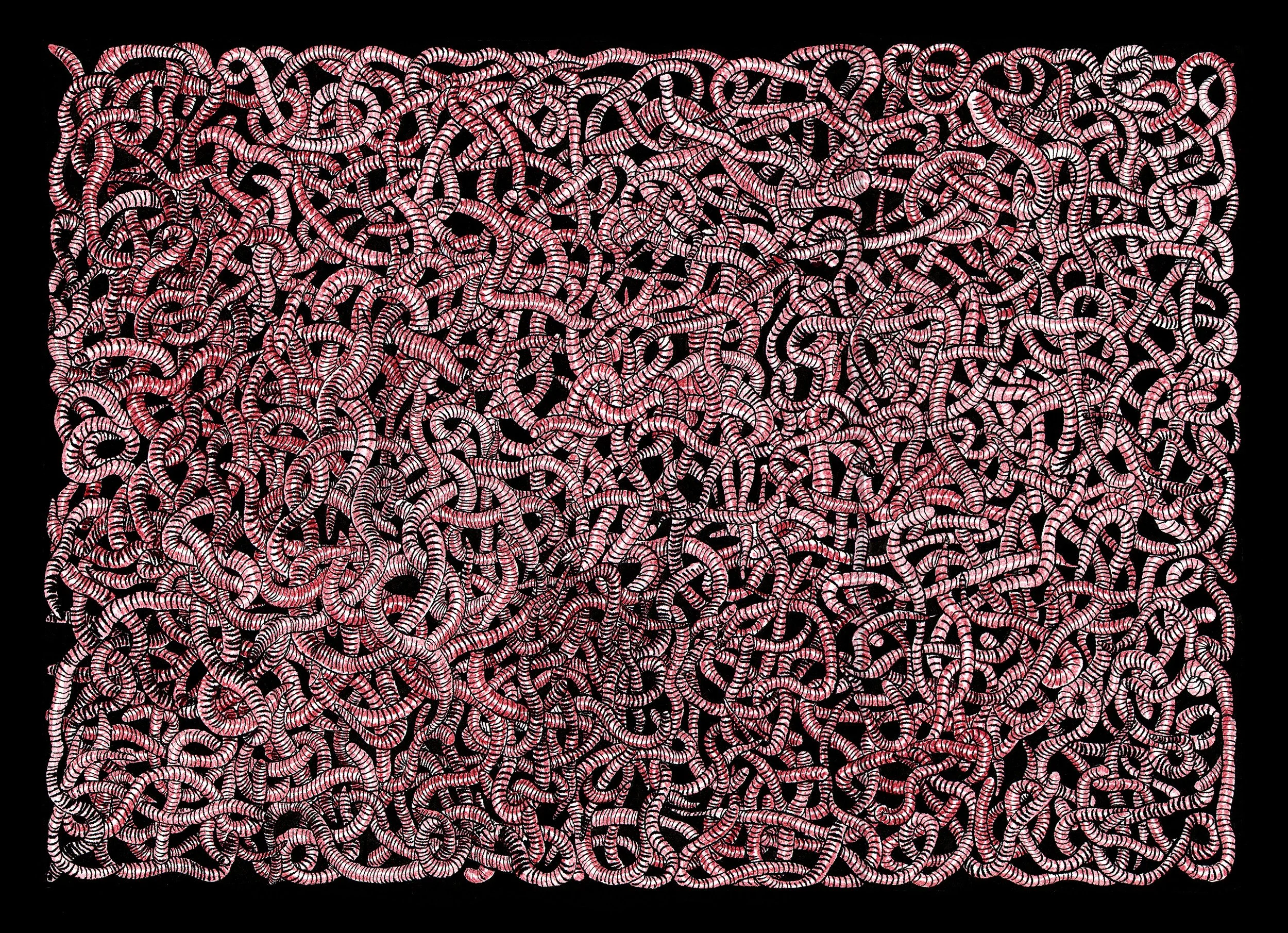 Drilosphere by Graeme Walker