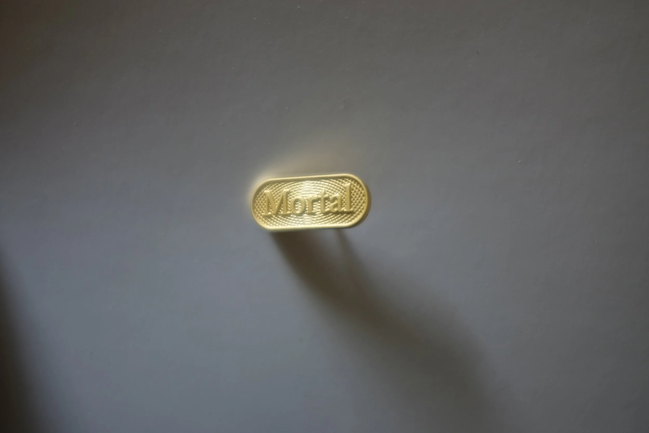 Graeme Walker. Mortal. Metal Brooch. 2023