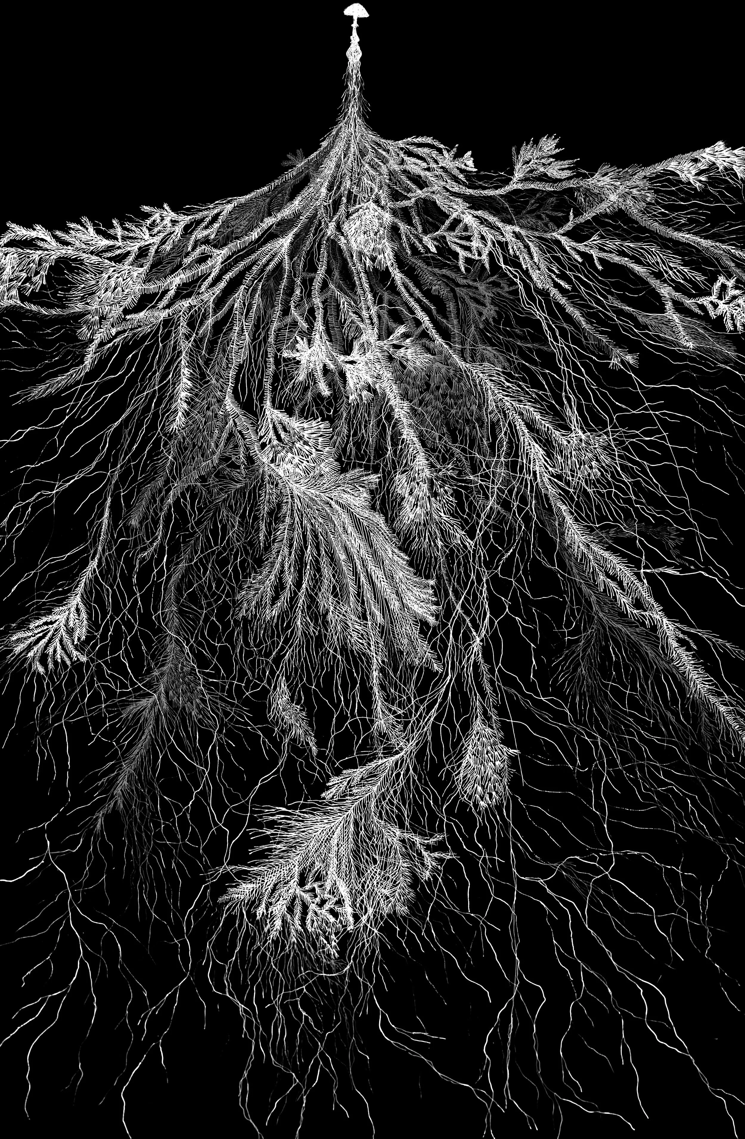 Mycelial Threads by Graeme Walker