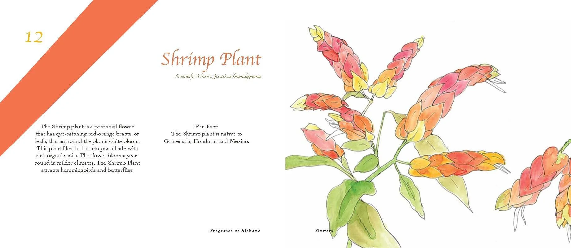 Fragrance of AL_spread_Page_07.jpg