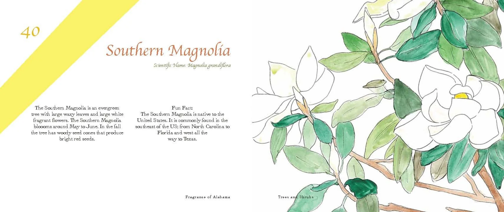 Fragrance of AL_spread_Page_21.jpg