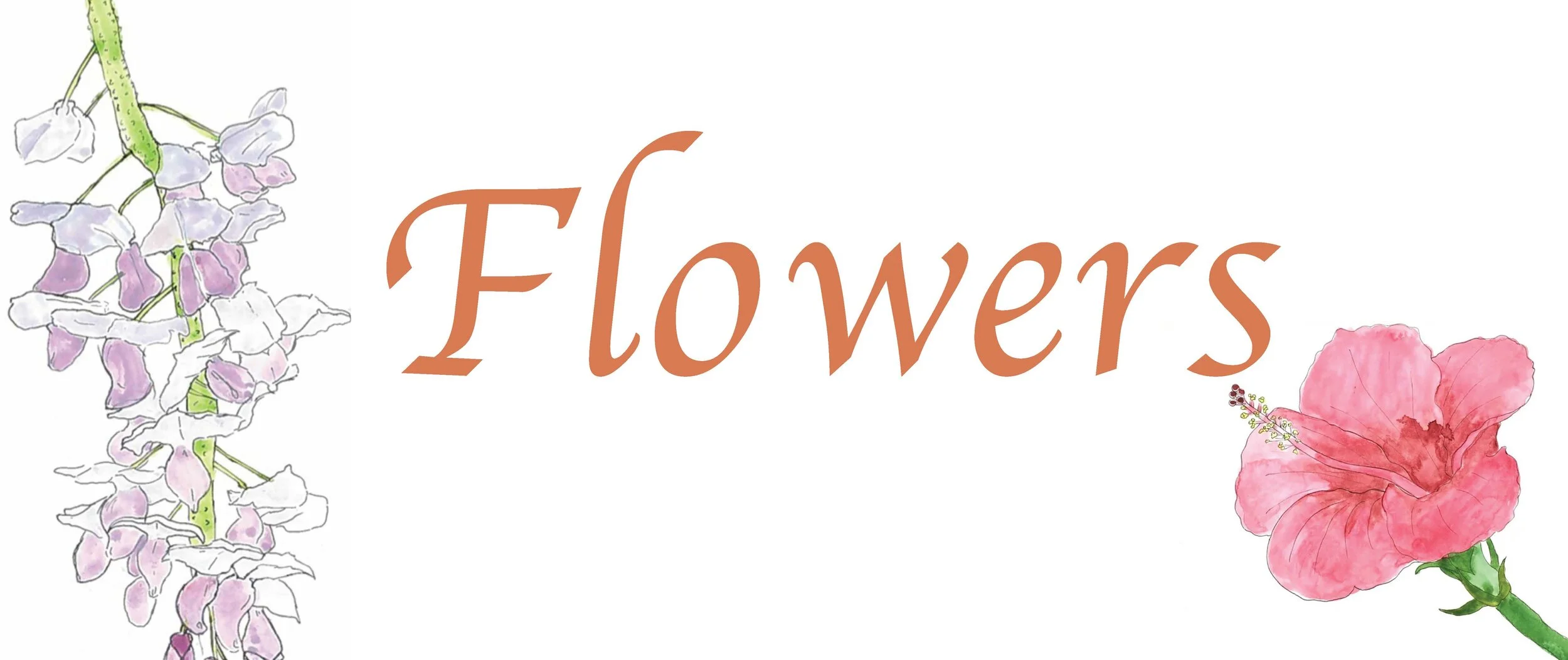 Fragrance of AL_spread_Page_03.jpg