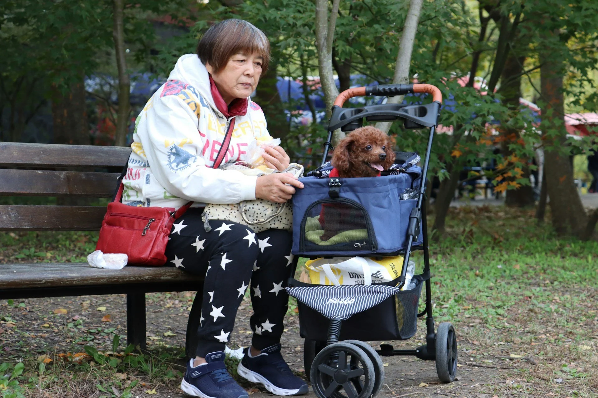 Call to Action: Reverse the Ban on Supportive Housing