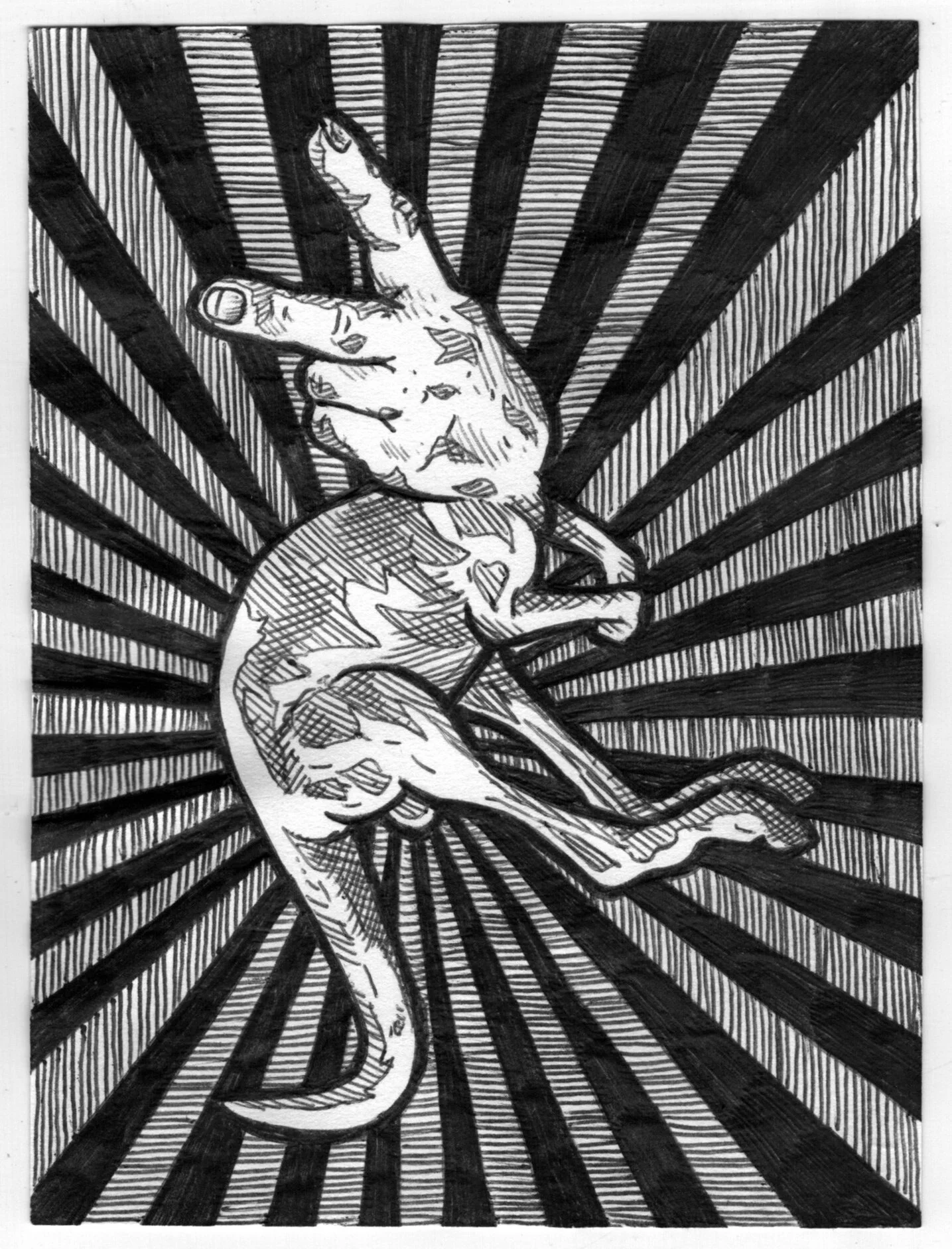 #516 FUCKAROO.jpeg