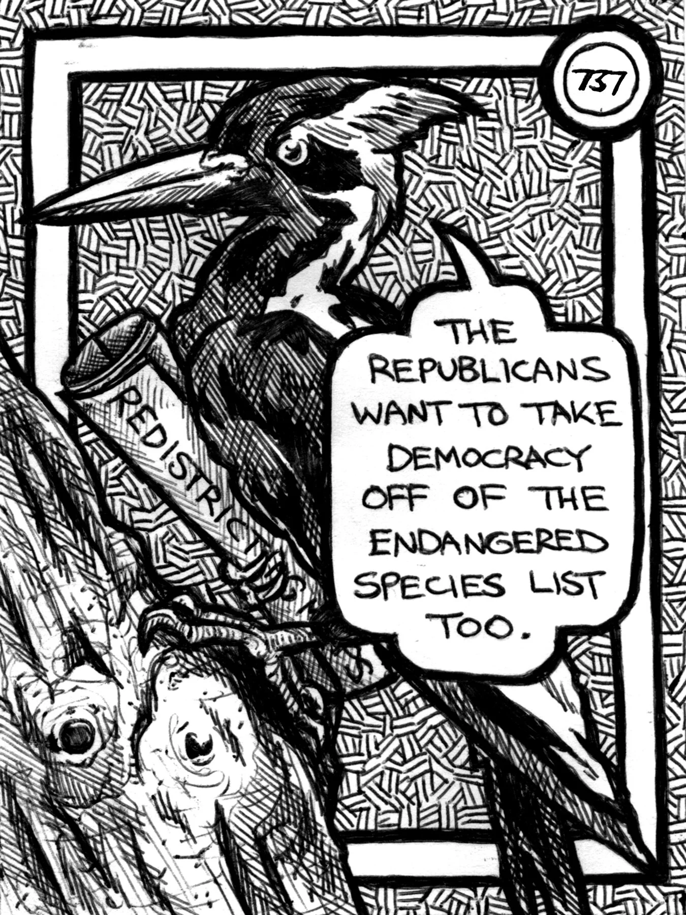 #737 the republicans want Print.jpg