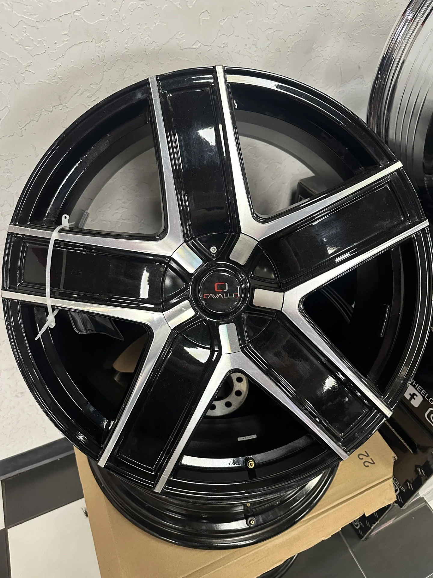 22" Cavallo 31 Set (USED)