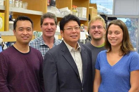 Scientists Find More DNA and Extra Copies of Disease Gene in Alzheimer’s Disease Brain Cells