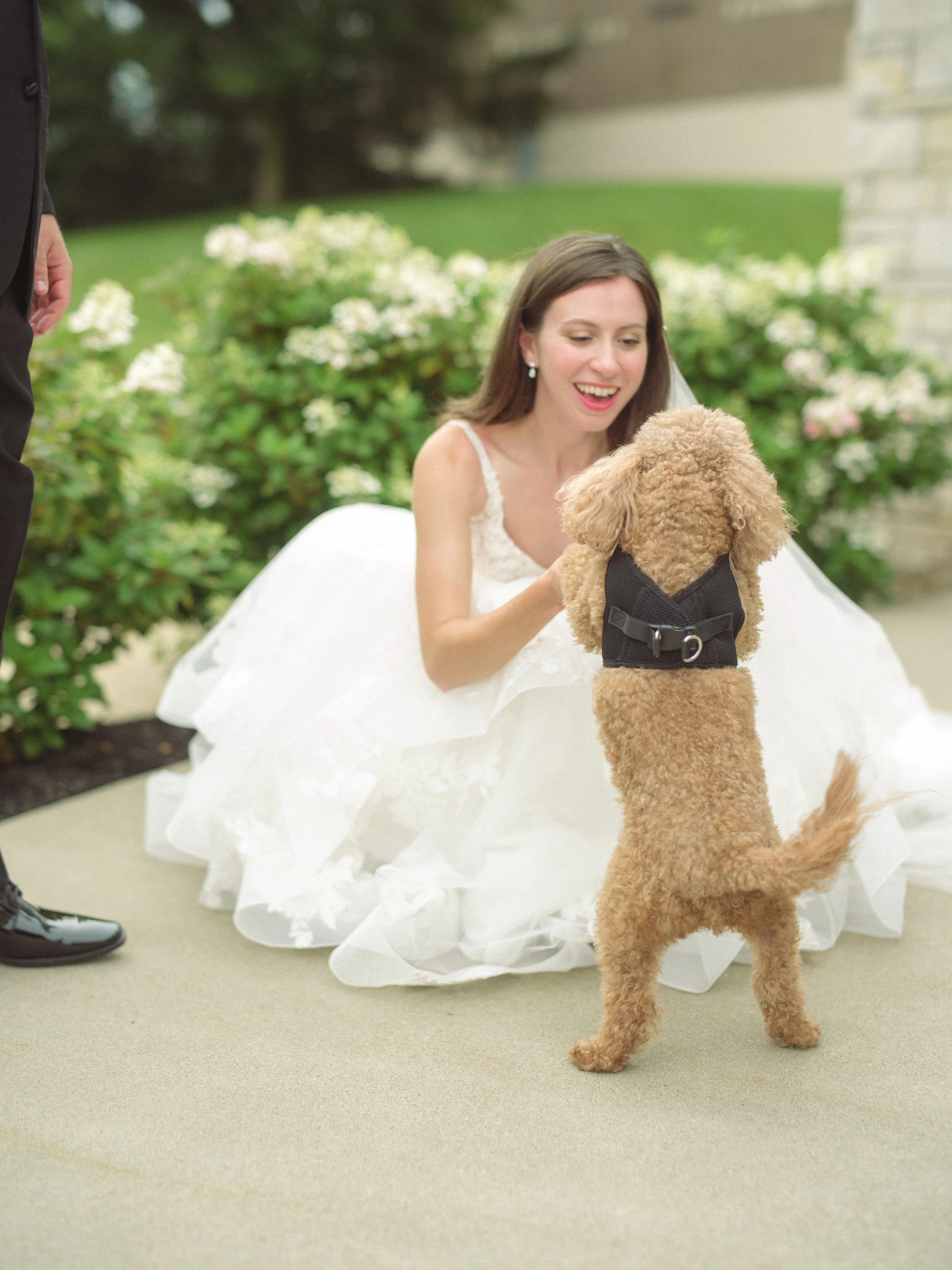 03.1-portraits-WEB-FaithNick-.020_260627_gfx_christian, Couple, Dogs, Pennsylvania, Pittsburgh, portraits, Summer, Wedding-.jpg