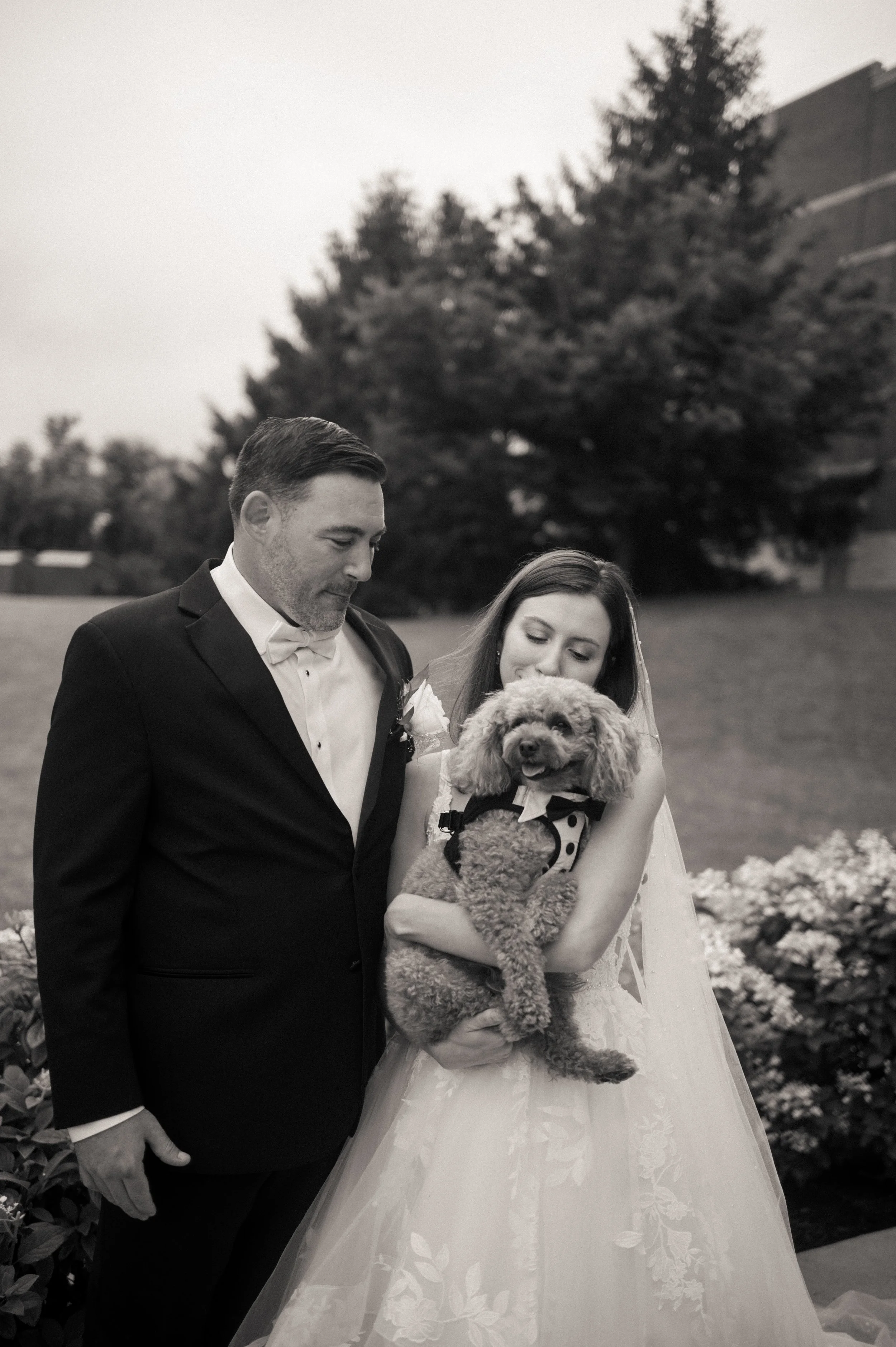 03.1-portraits-WEB-FaithNick-.024_260627_z6ii_christian, Couple, Dogs, Pennsylvania, Pittsburgh, portraits, Summer, Wedding-.jpg