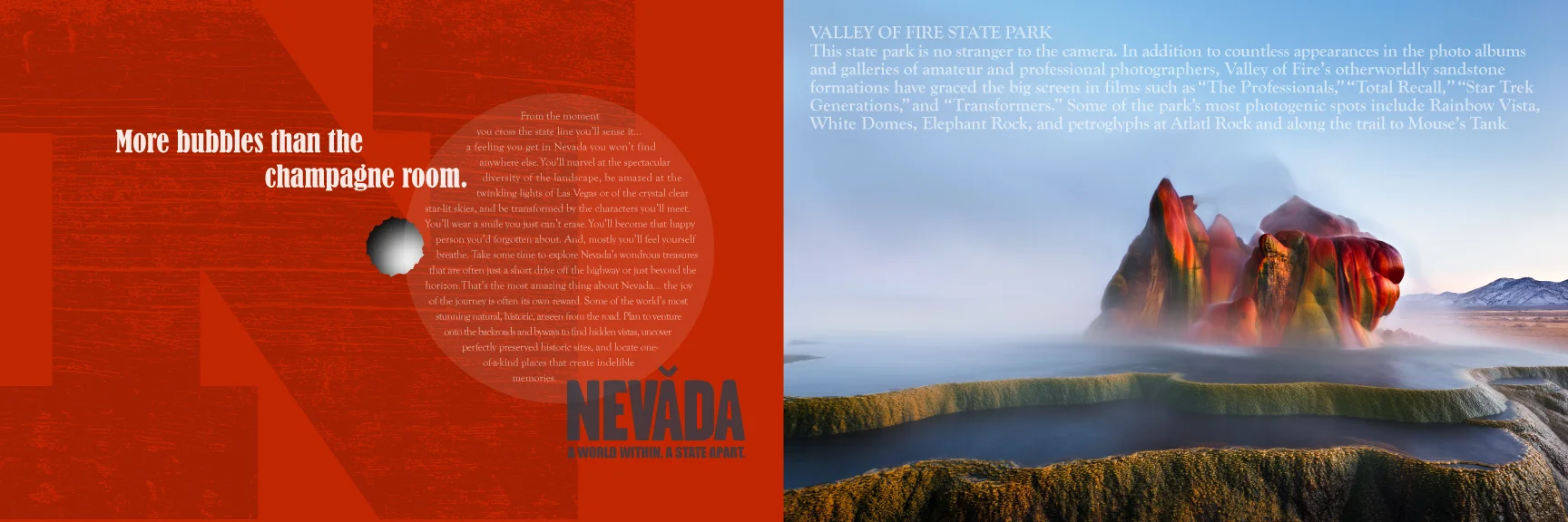 NEV_brochure_spreadA.jpg