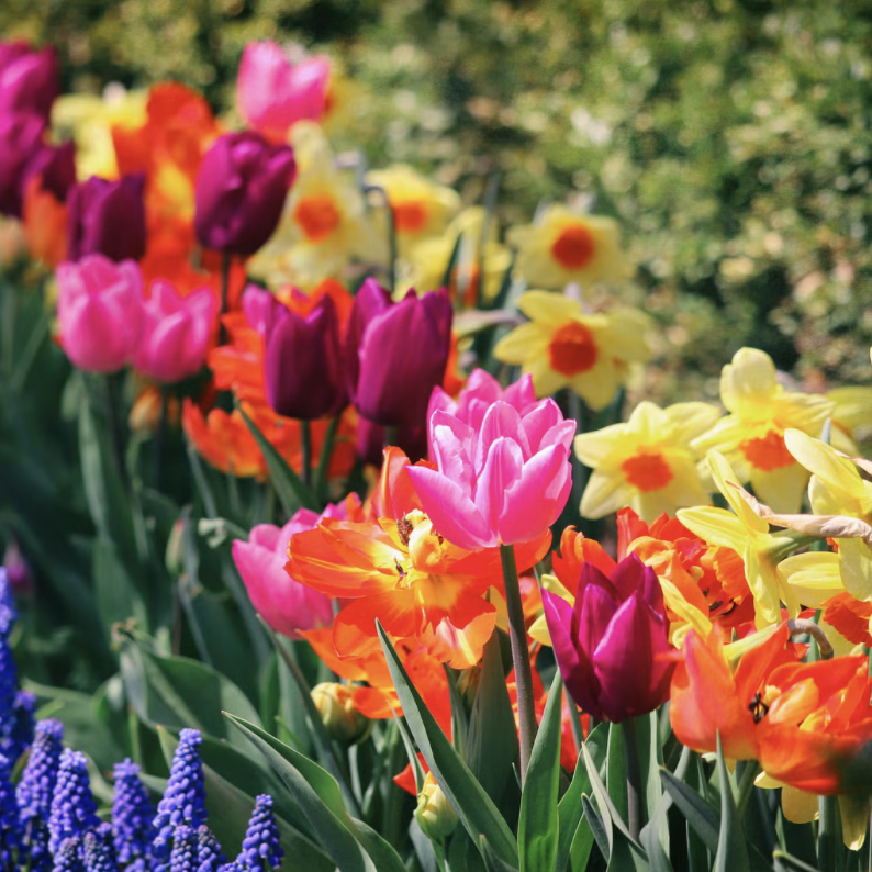 Spring is for Kids!
