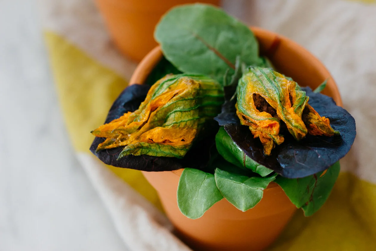 Audrey III (Squash Blossoms with Beef and Honey Lavender Goat Cheese) &amp; LITTLE SHOP OF HORRORS