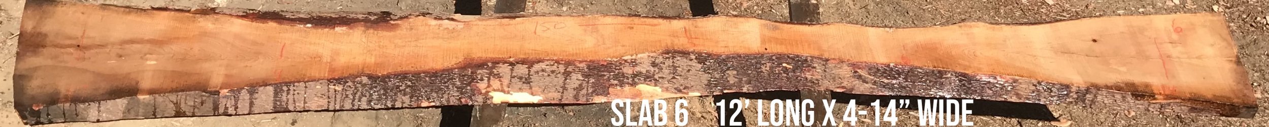 IMG_3488.jpeg