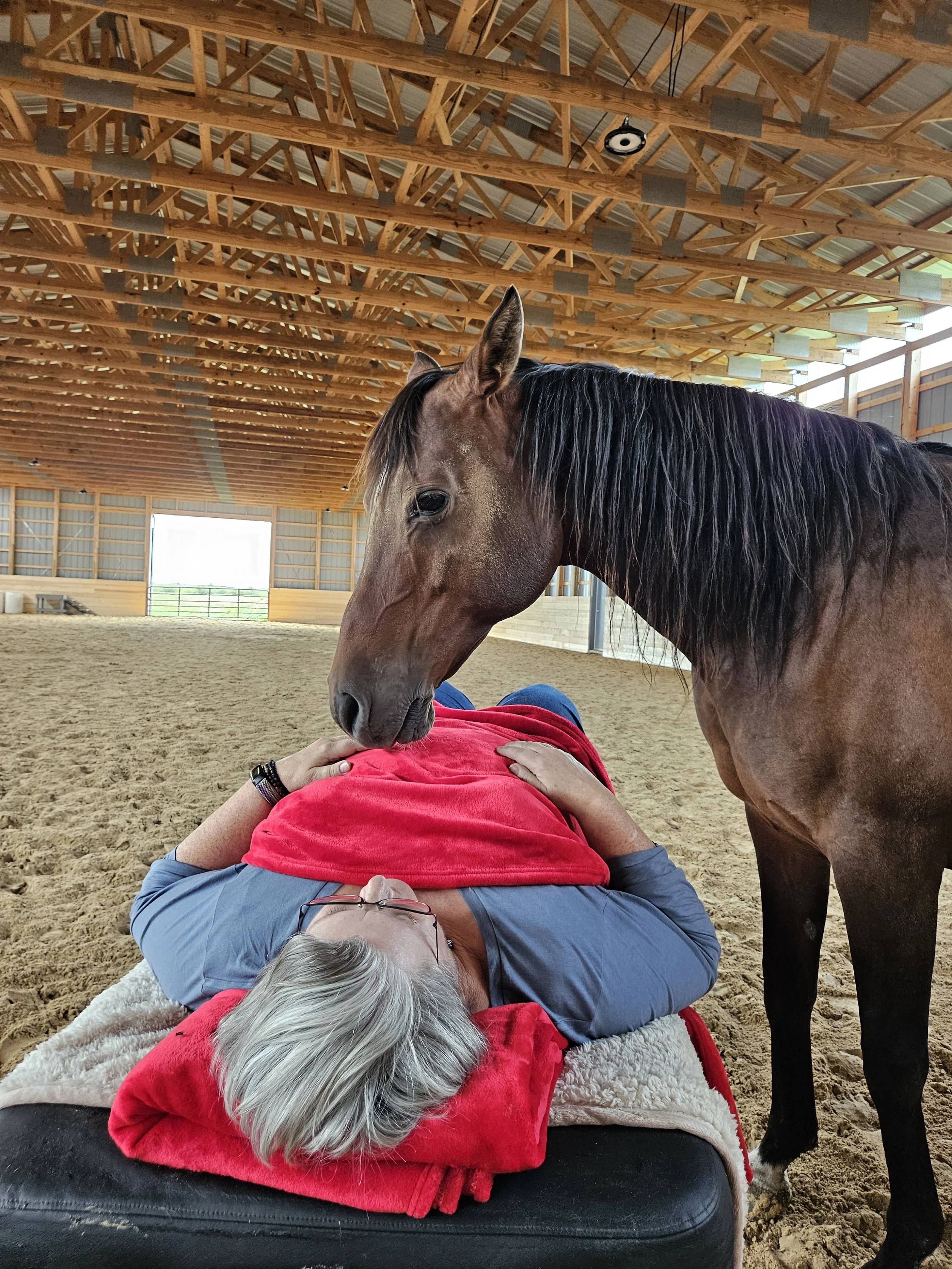 How Horses Coach Humans To Be Better Leaders