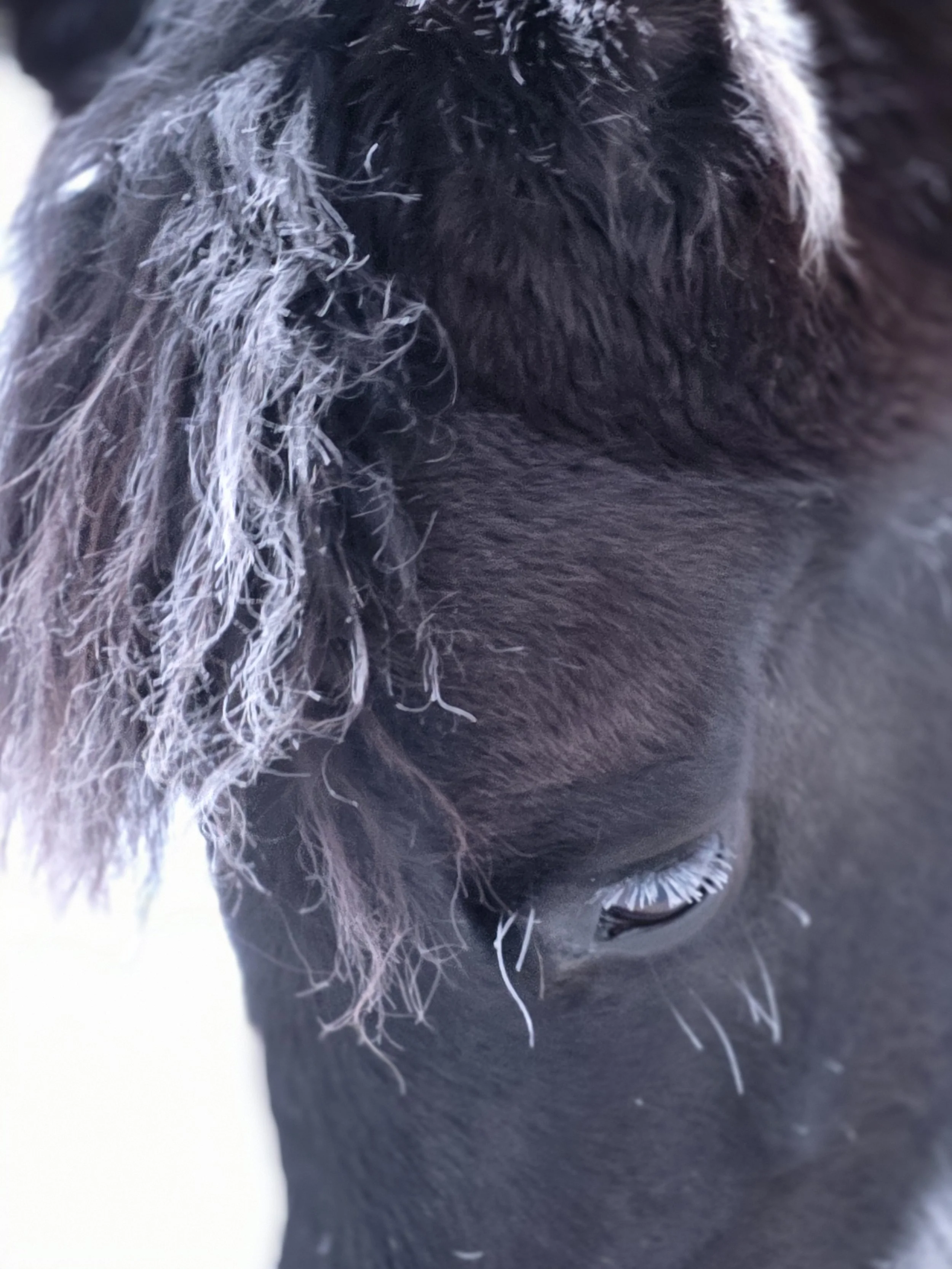 The Art of Adjusting to Someone New