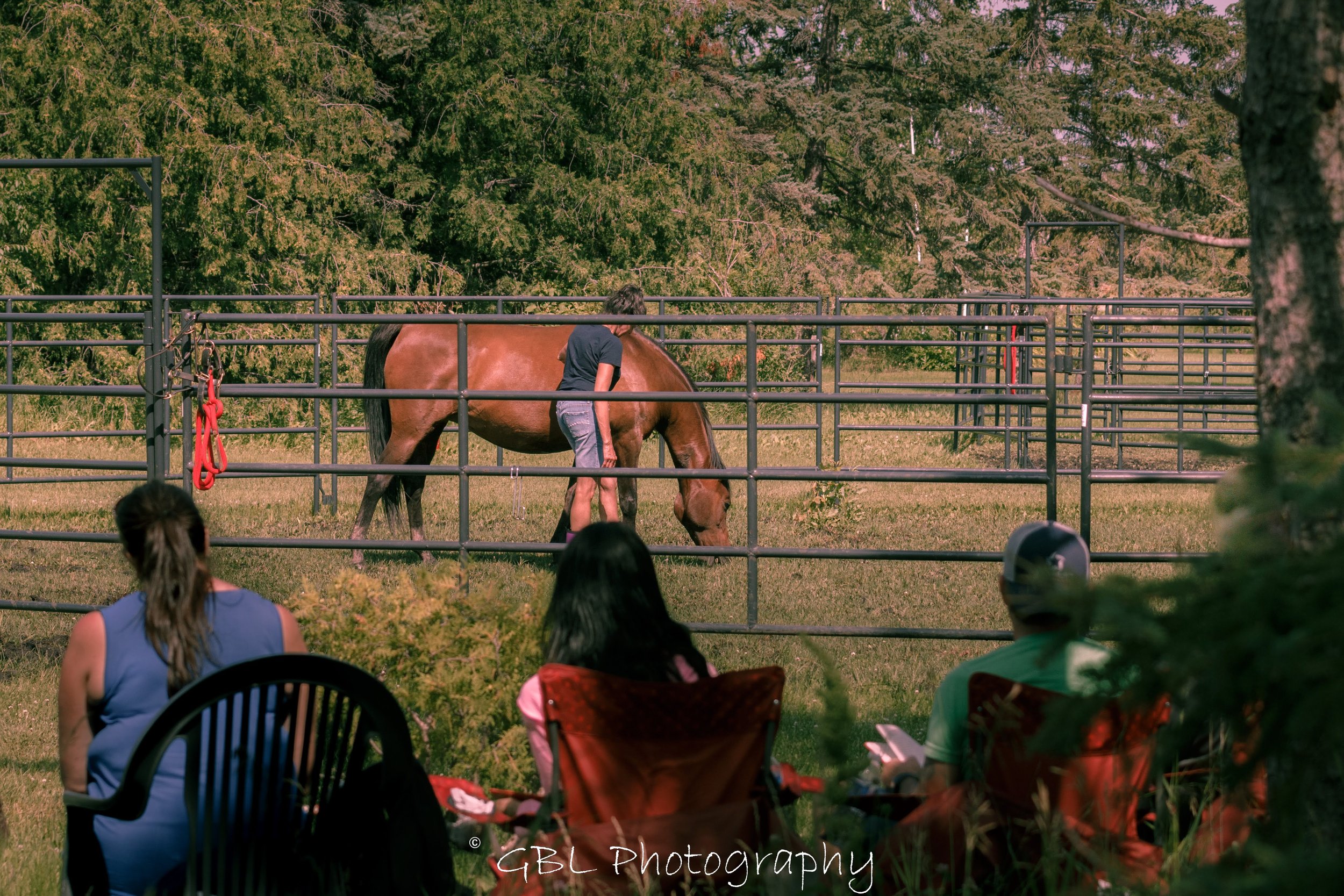 Annie in pen group in foreground.jpg