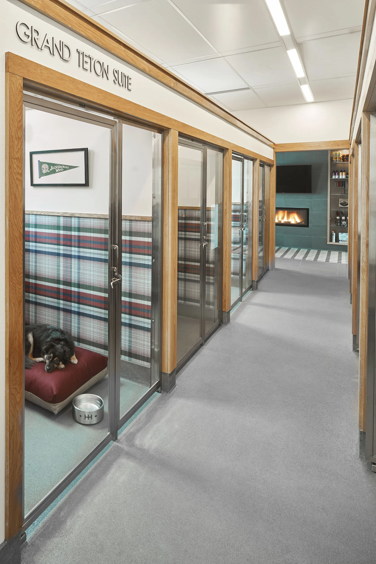 Dog Boarding — Homestead Hound