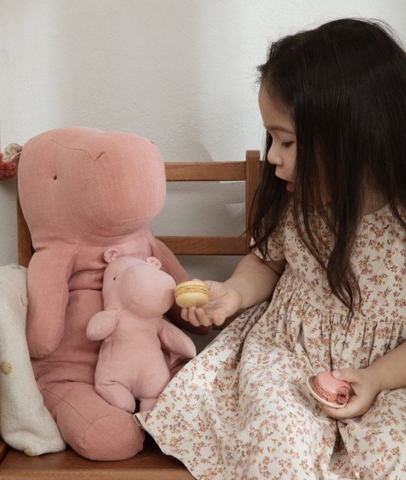 Little girl and her Maileg soft toys