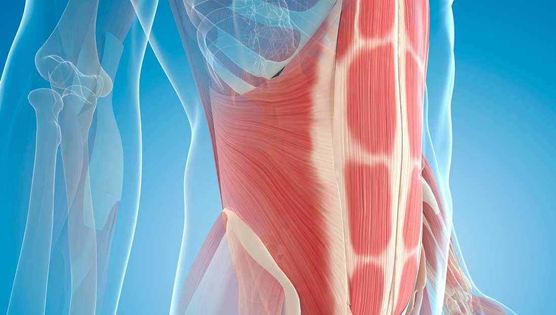 Are you Engaging your Core Muscles?