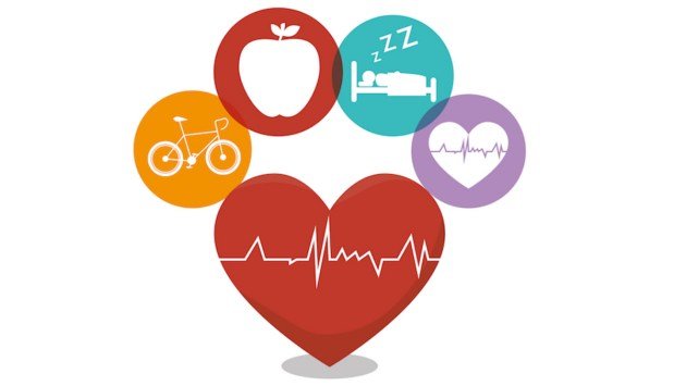 Three Strategies for Healthy Aging