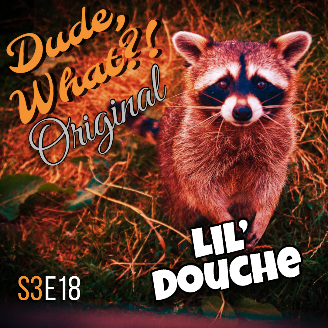Lil’ Douche: White Chicks, Wedding Crashers Wayne’s World
