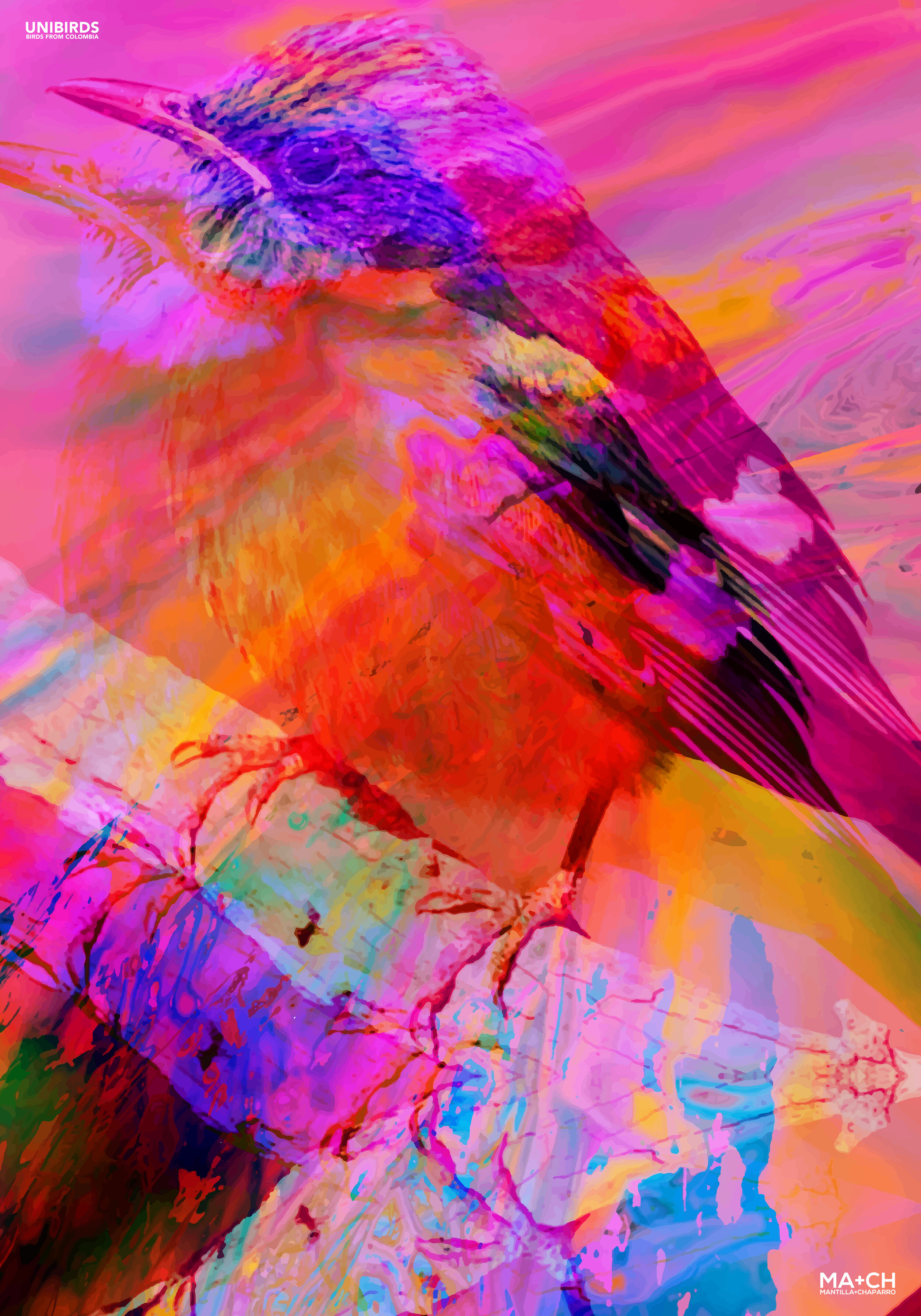 GLITCHING UNIBIRDS LOW-09.jpg