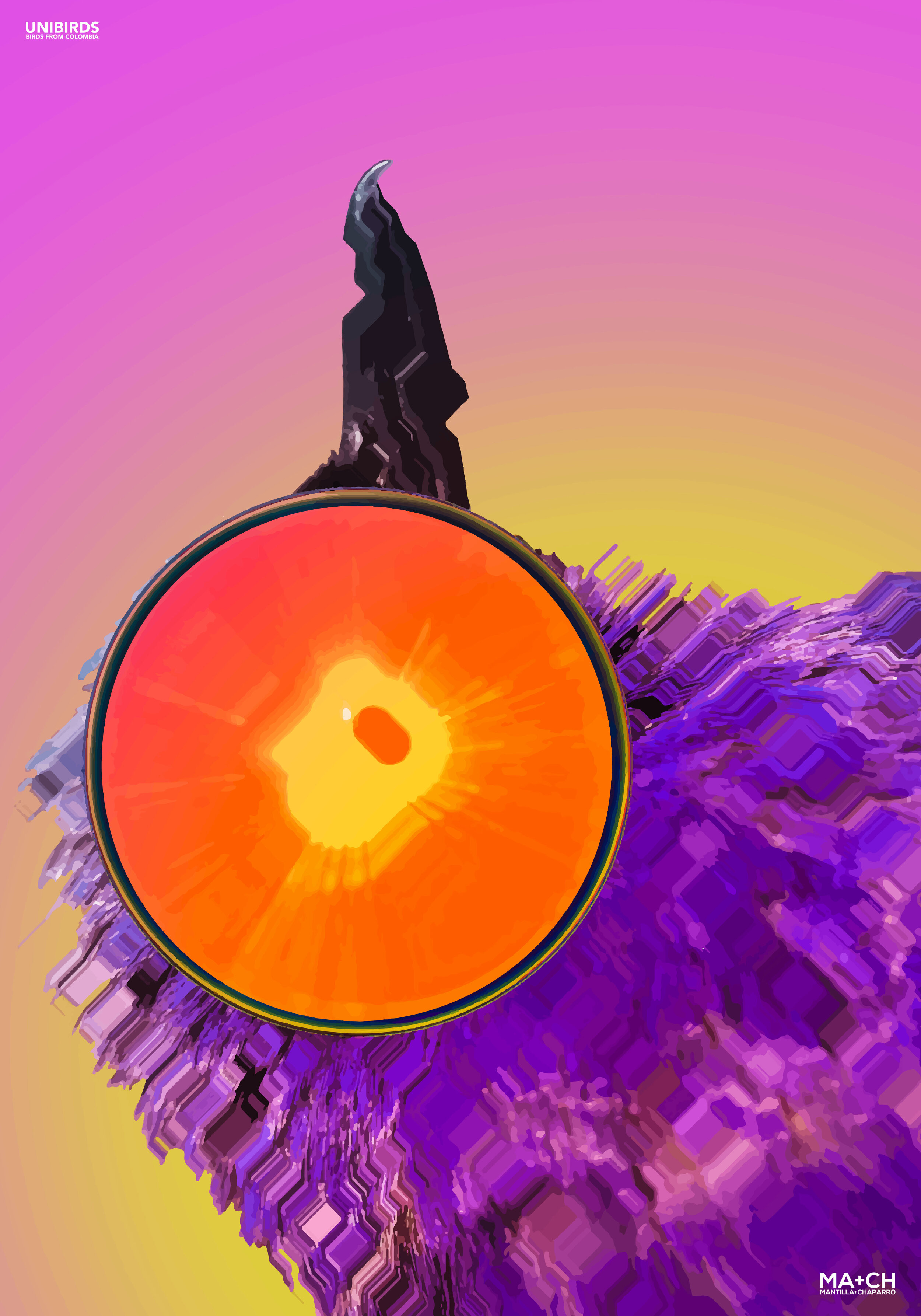 GLITCHING UNIBIRDS LOW-02.jpg