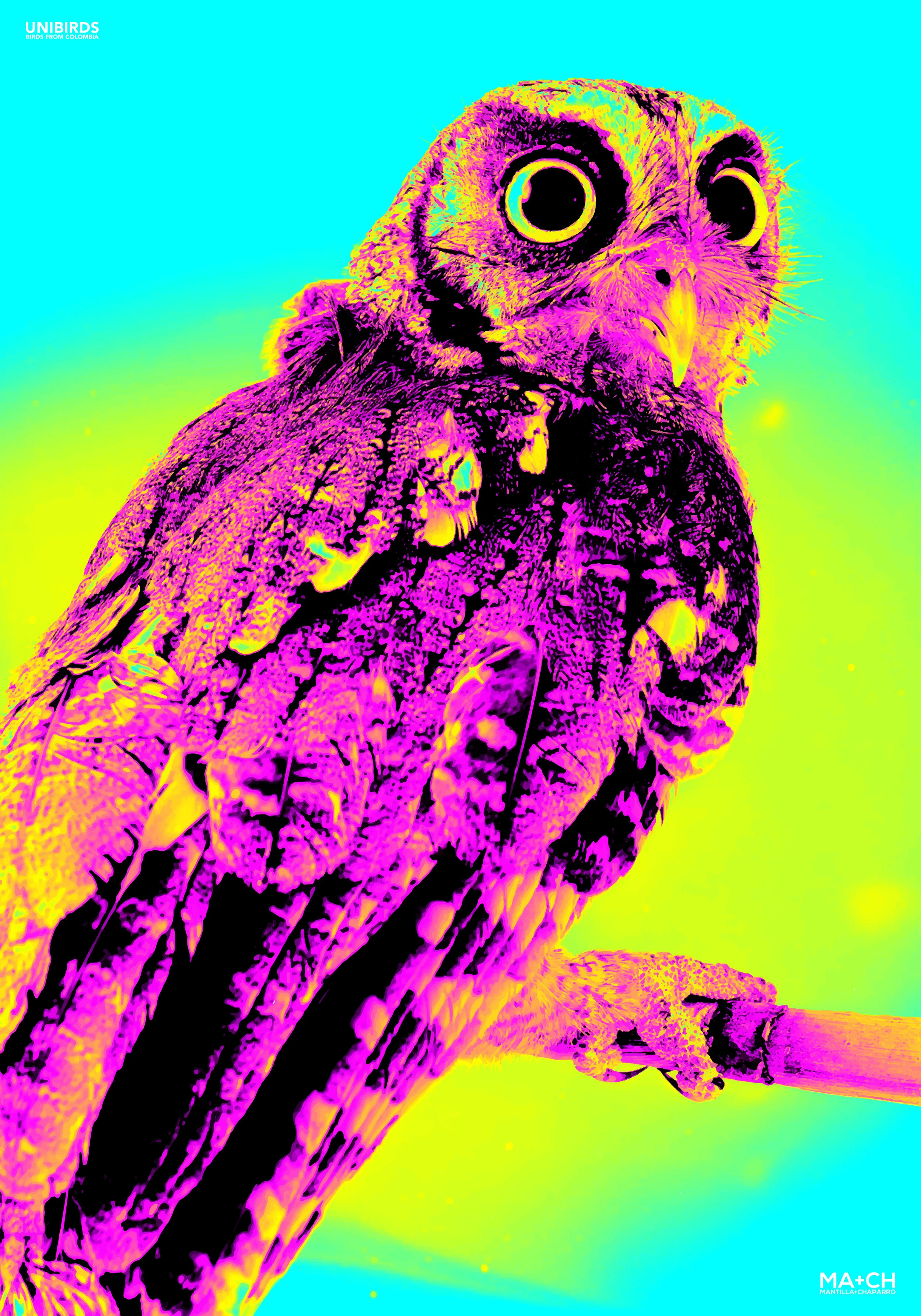 GLITCHING UNIBIRDS LOW-05.jpg
