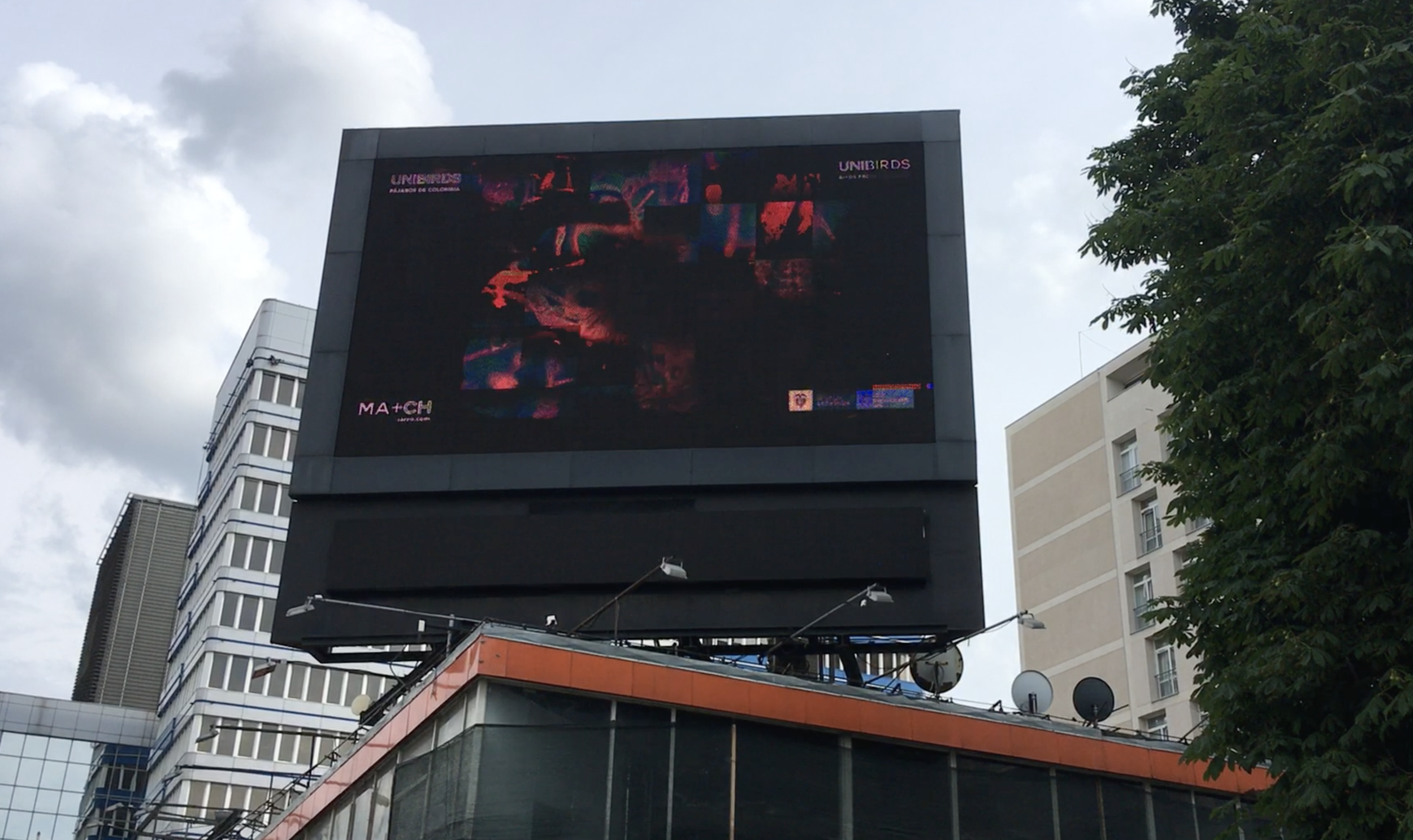 Captura de Pantalla 2021-07-01 a la(s) 2.43.57 a. m..png