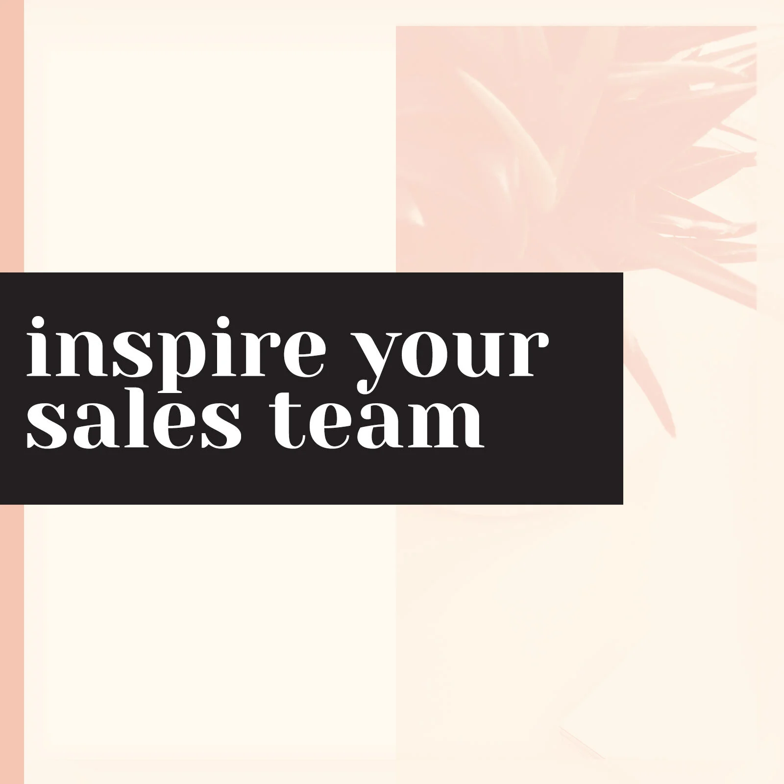 2Chicks_Website_Portfolio_Inspire_your_Sales_Team.jpg