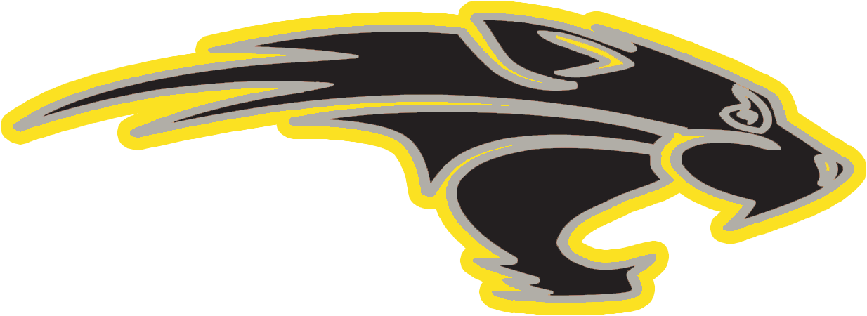 Boys Lacrosse Lax Cat (Black-Silver-Yellow).png