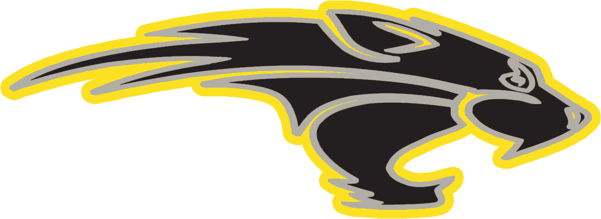 Copy of Lax Cat (Black-Silver-Yellow) (1).png