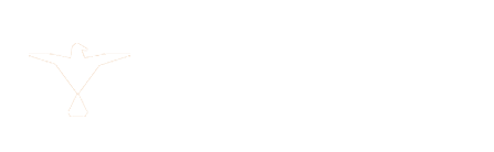 Hawk Semiconductor