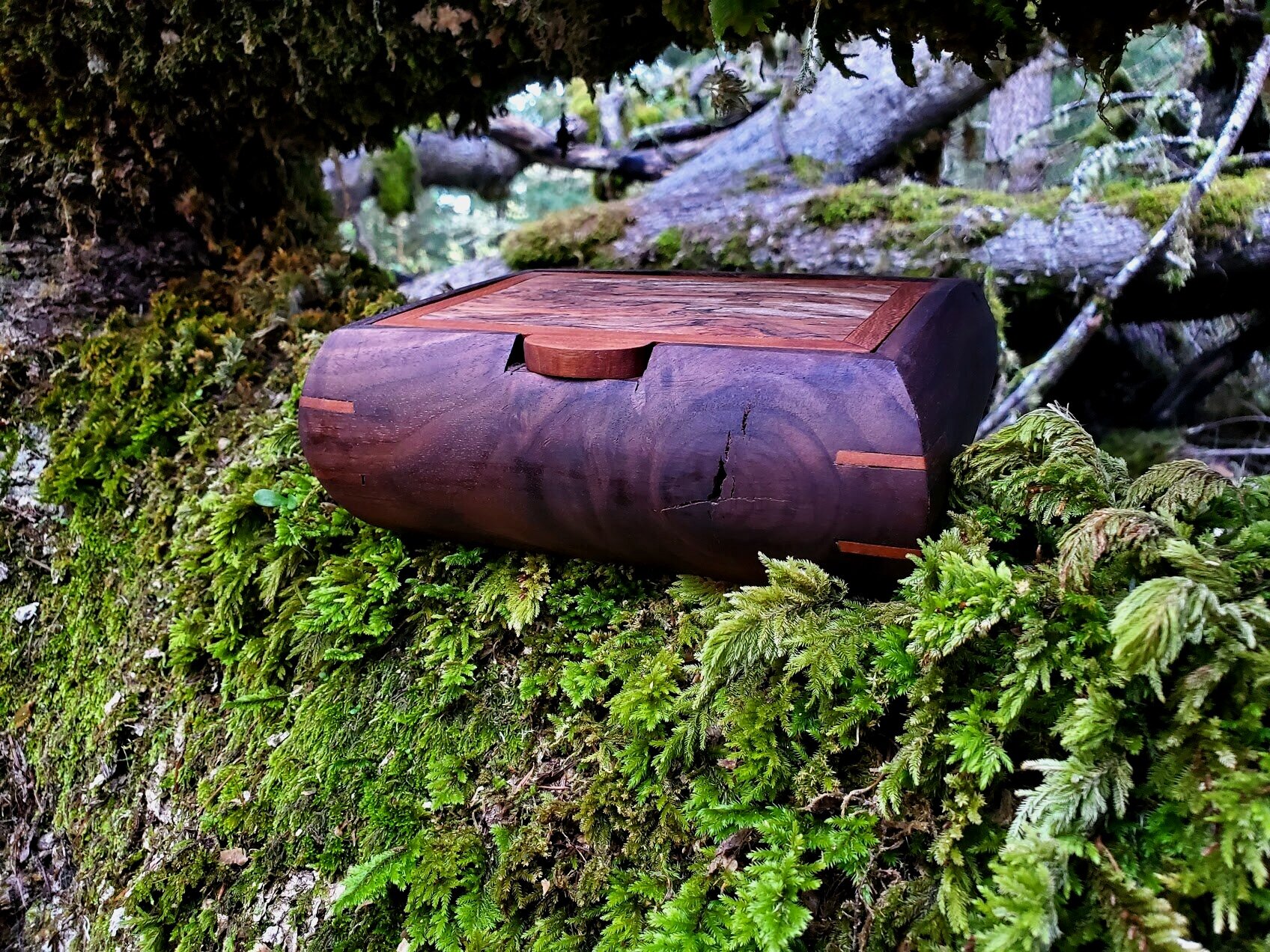 round+walnut+B3.jpg