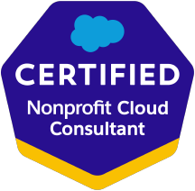 Nonprofit-Cloud-Consultant.png