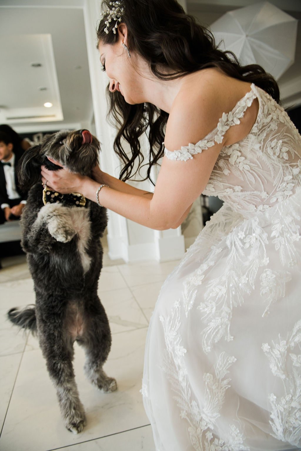 Bride first look with dog