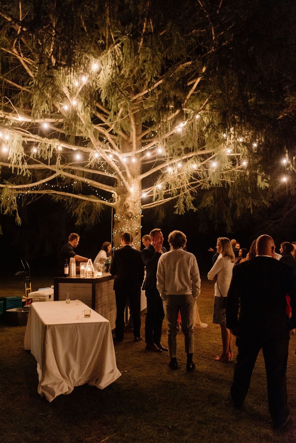 Bistro lights in tree above wedding bar