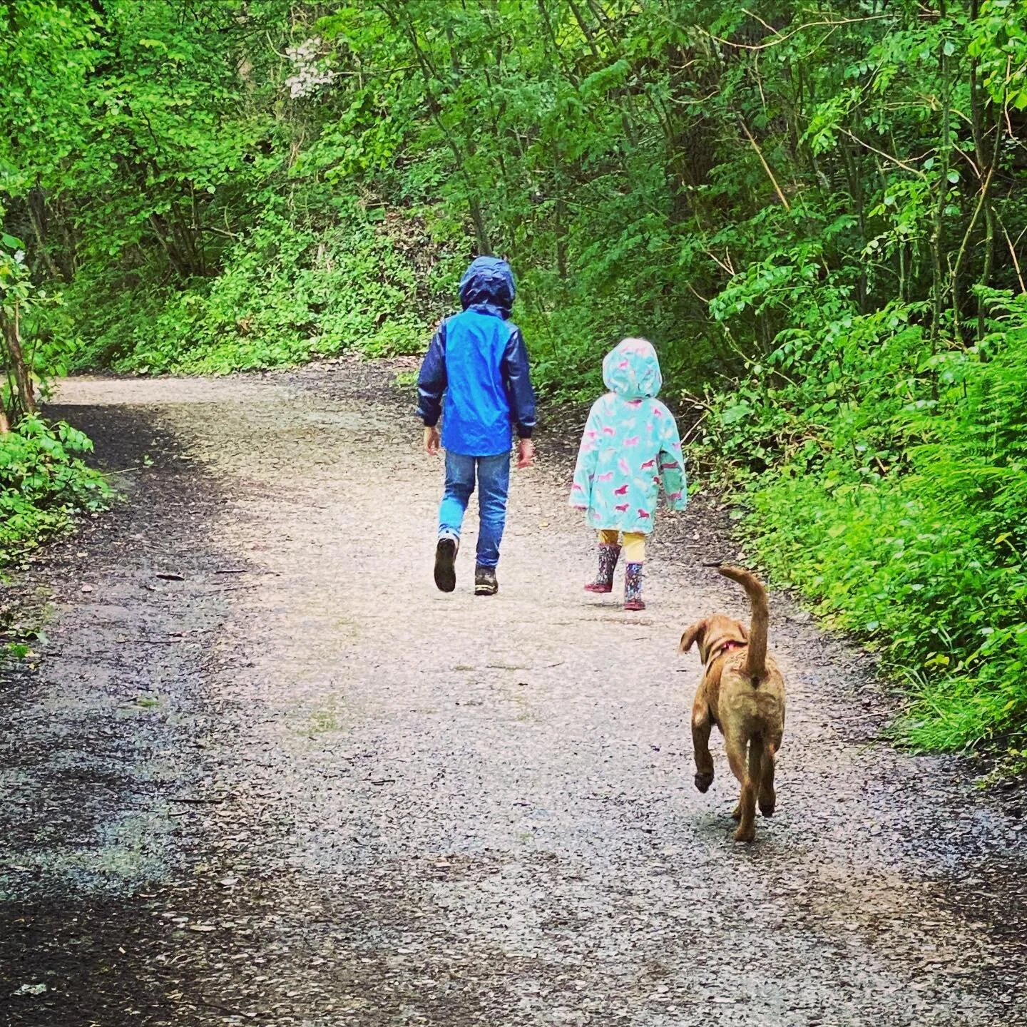 Such a fun half term. Sunday debrief in the rain💚 while mummy &amp; daddy hang back and enjoy the moment of calm ☺️