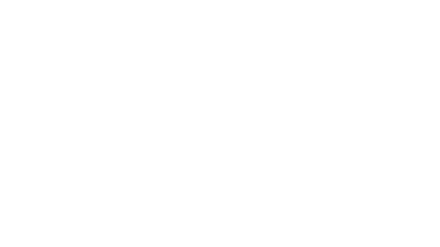 The Wildest Co